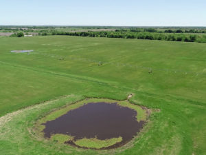 cattle farm for sale Delta County TX